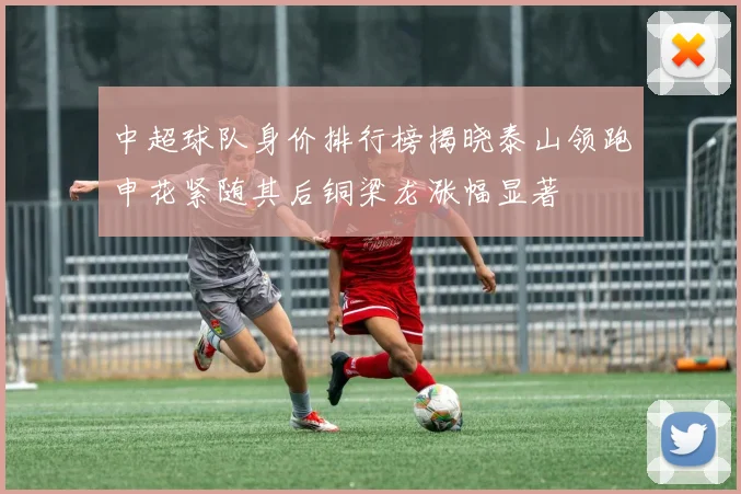 中超球队身价排行榜揭晓泰山领跑申花紧随其后铜梁龙涨幅显著